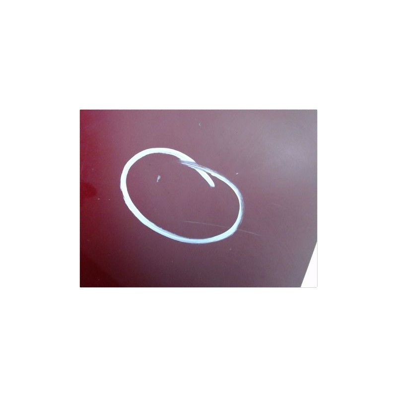 PORTE ARRIERE GAUCHE FIAT BRAVO II 07-11
