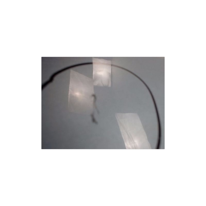 PORTE AVANT GAUCHE FIAT ULYSSE 2002-