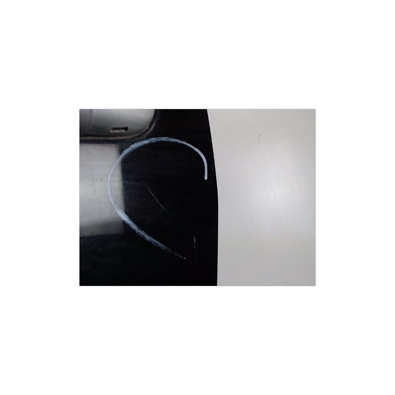 PORTE AVANT GAUCHE RENAULT MEGANE II PH2 C.C 06-09