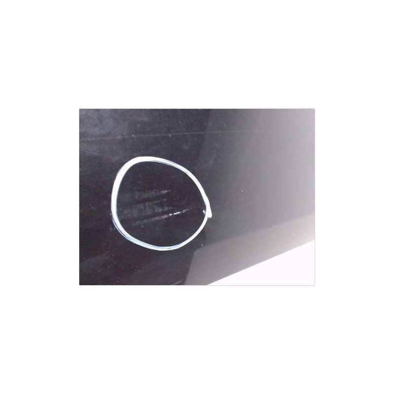 PORTE AVANT GAUCHE RENAULT MEGANE II PH2 C.C 06-09