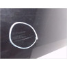 PORTE AVANT GAUCHE RENAULT MEGANE II PH2 C.C 06-09