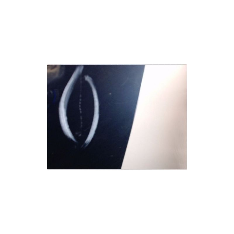 PORTE ARRIERE GAUCHE OPEL CORSA (D) 06-10