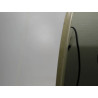 PORTE ARRIERE GAUCHE SMART FORFOUR 04-06