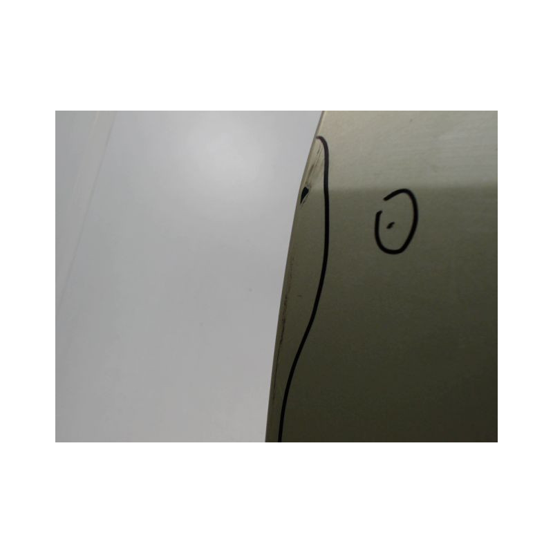 PORTE ARRIERE GAUCHE SMART FORFOUR 04-06
