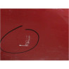 PORTE AVANT DROIT RENAULT MEGANE II PH2 C.C 06-09