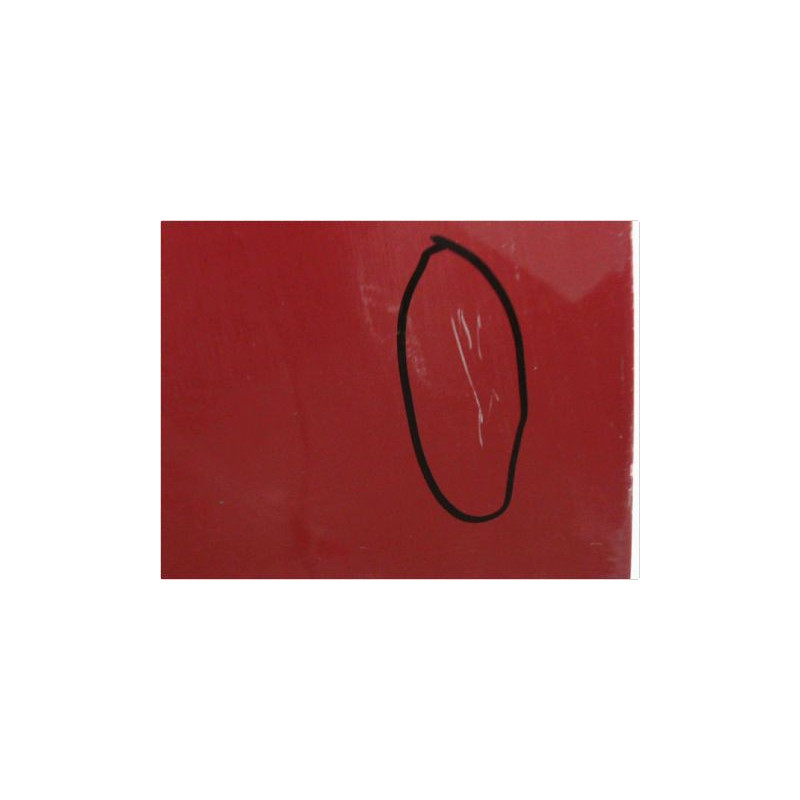 PORTE AVANT GAUCHE RENAULT MEGANE II PH2 C.C 06-09