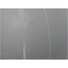 PORTE ARRIERE GAUCHE SEAT ALTEA 2004-2009