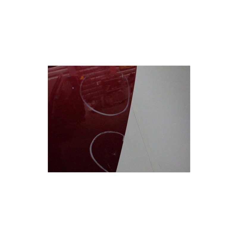PORTE ARRIERE GAUCHE RENAULT GRAND MODUS PH2 2008-2012