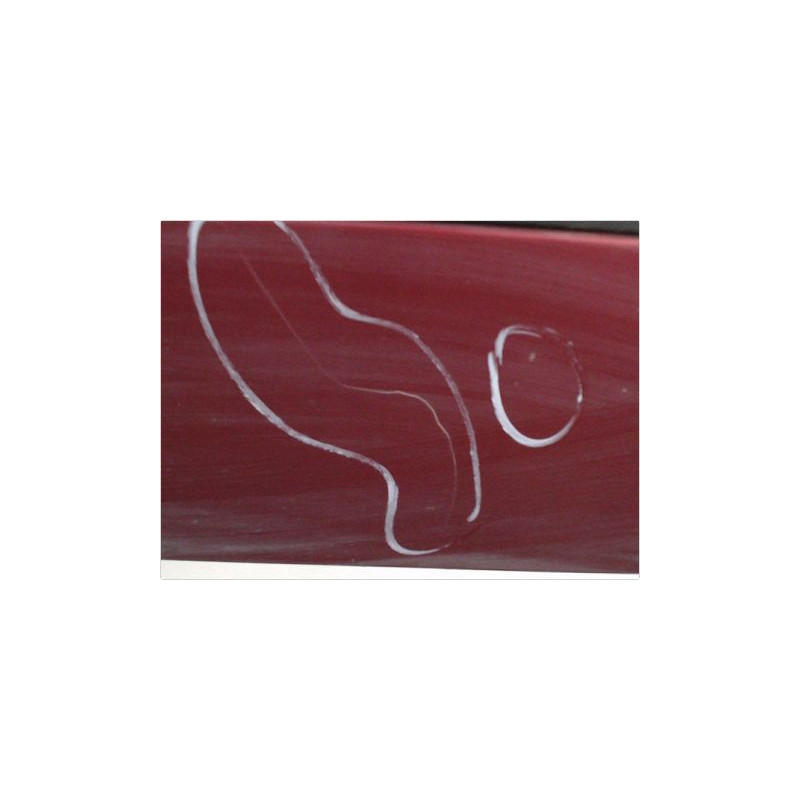 PORTE AVANT GAUCHE RENAULT SCENIC I PH2 99-03
