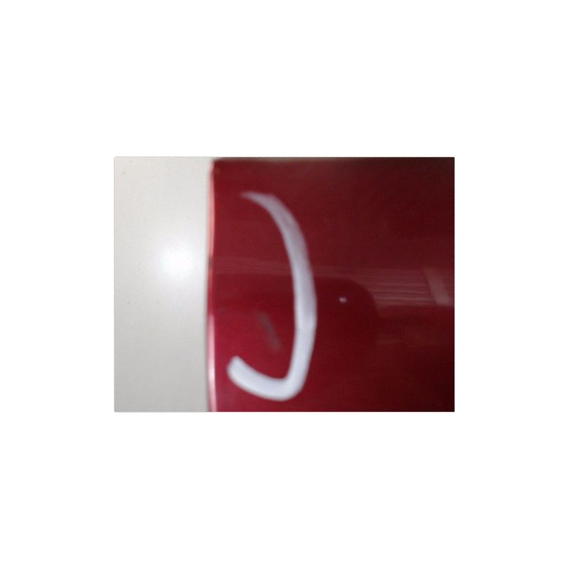 PORTE AVANT GAUCHE RENAULT SCENIC I PH2 99-03