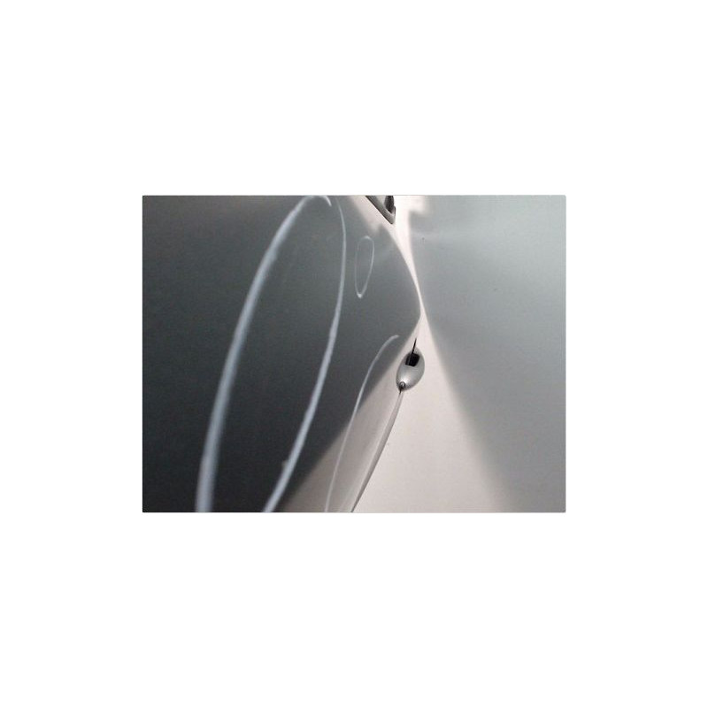 PORTE ARRIERE GAUCHE RENAULT MEGANE III 08-12