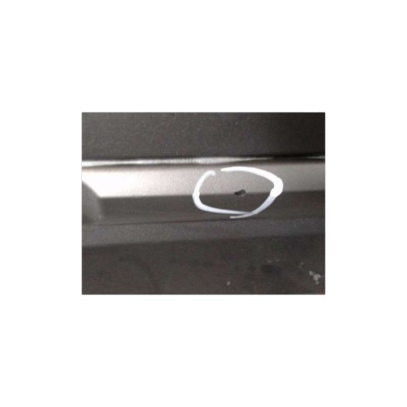 PORTE ARRIERE GAUCHE RENAULT LAGUNA III 2007-