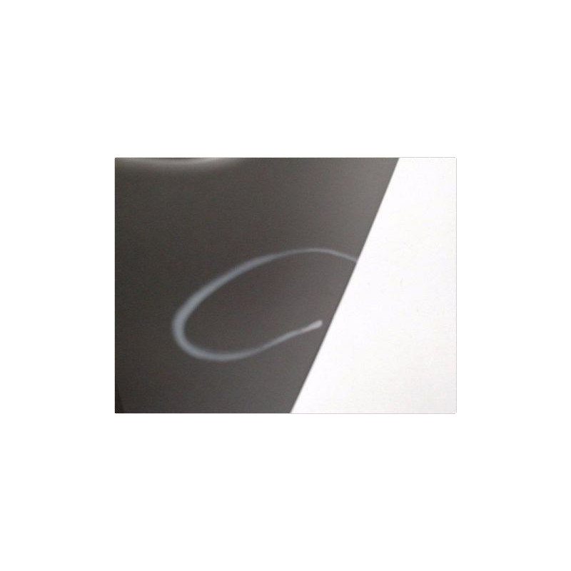 PORTE ARRIERE GAUCHE RENAULT LAGUNA III 2007-