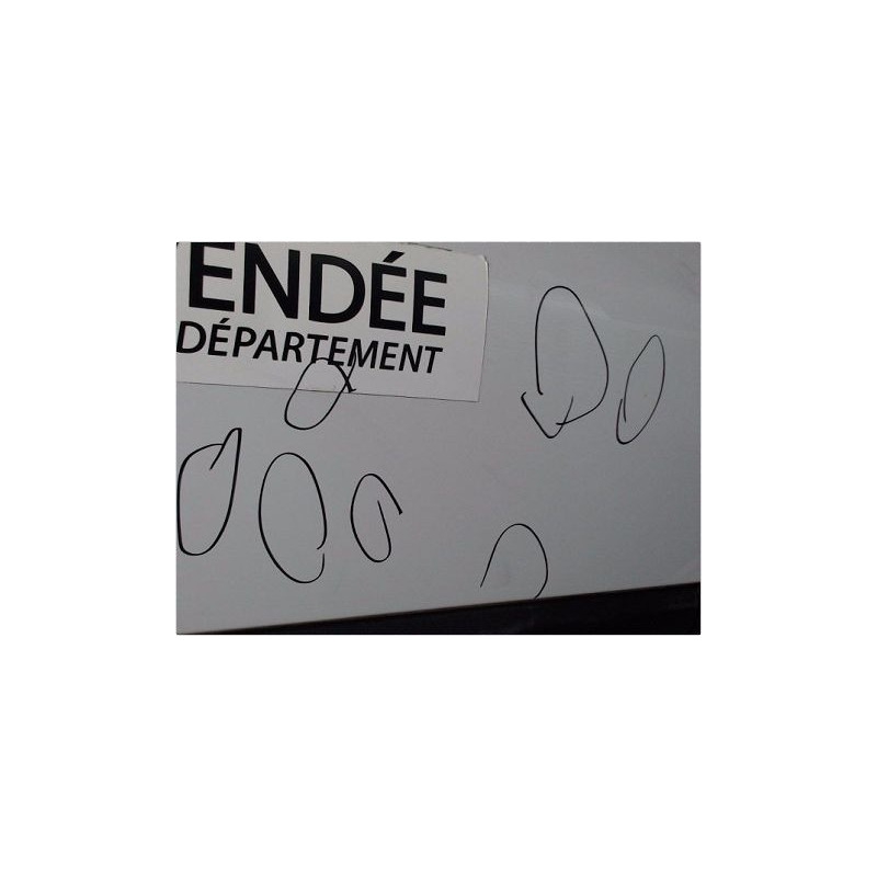 PORTE AVANT DROIT RENAULT CLIO II PH.2 01-06