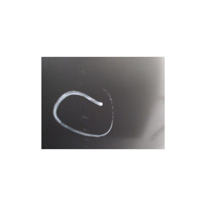 PORTE AVANT DROIT TOYOTA COROLLA VERSO 2004-2007