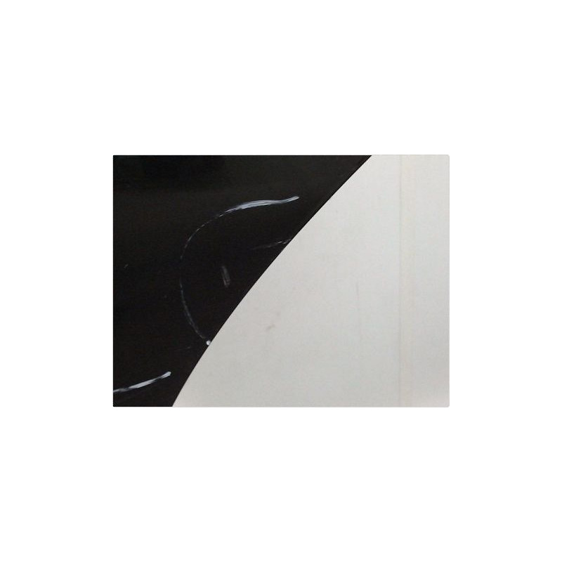 PORTE ARRIERE GAUCHE CITROEN C3 II 2009-2012