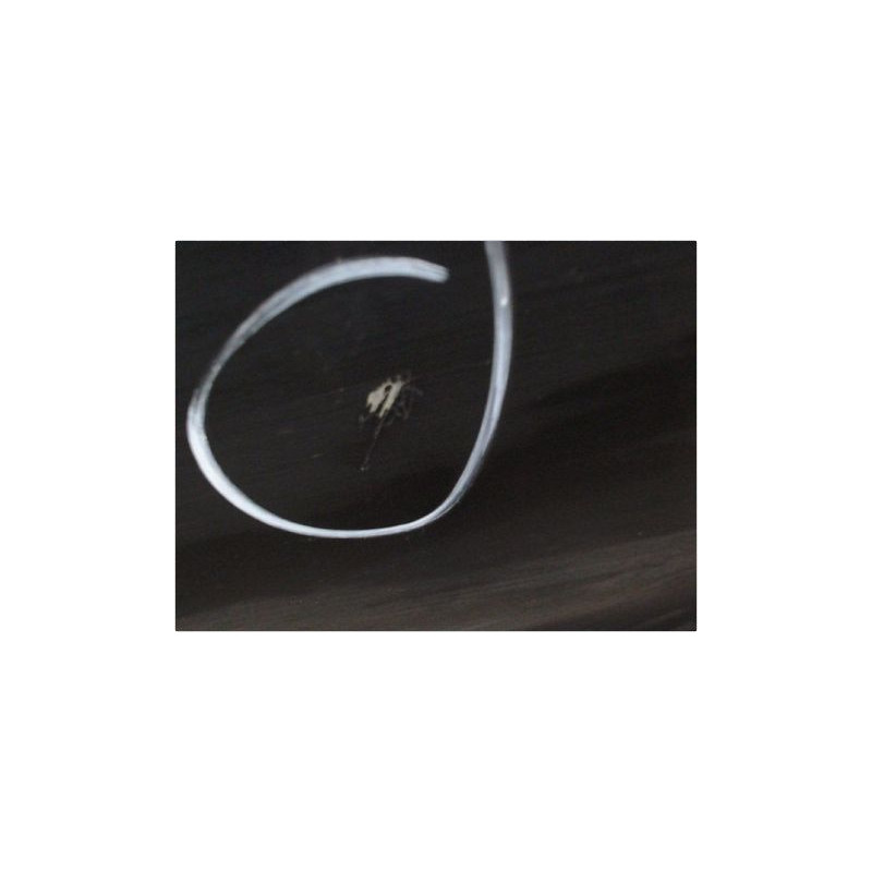 PORTE AVANT GAUCHE TOYOTA MR 2000-2002