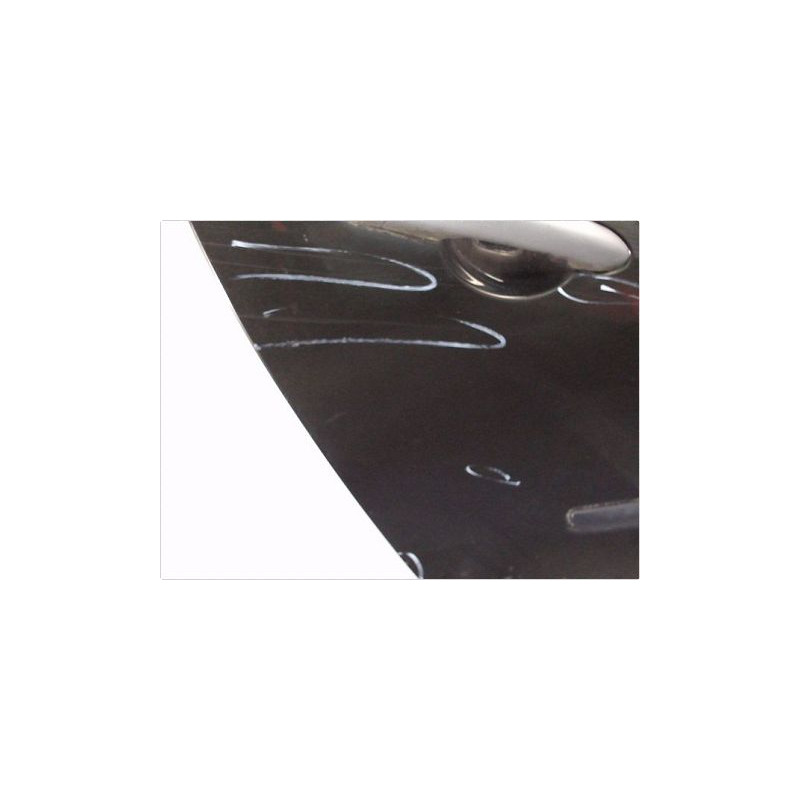 PORTE ARRIERE DROIT RENAULT CLIO III PH.1 05-09