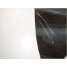PORTE ARRIERE DROIT RENAULT CLIO III PH.1 05-09