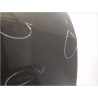 PORTE ARRIERE DROIT RENAULT CLIO III PH.1 05-09