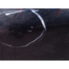 PORTE AVANT DROIT CITROEN C5 II TOURER 2008-