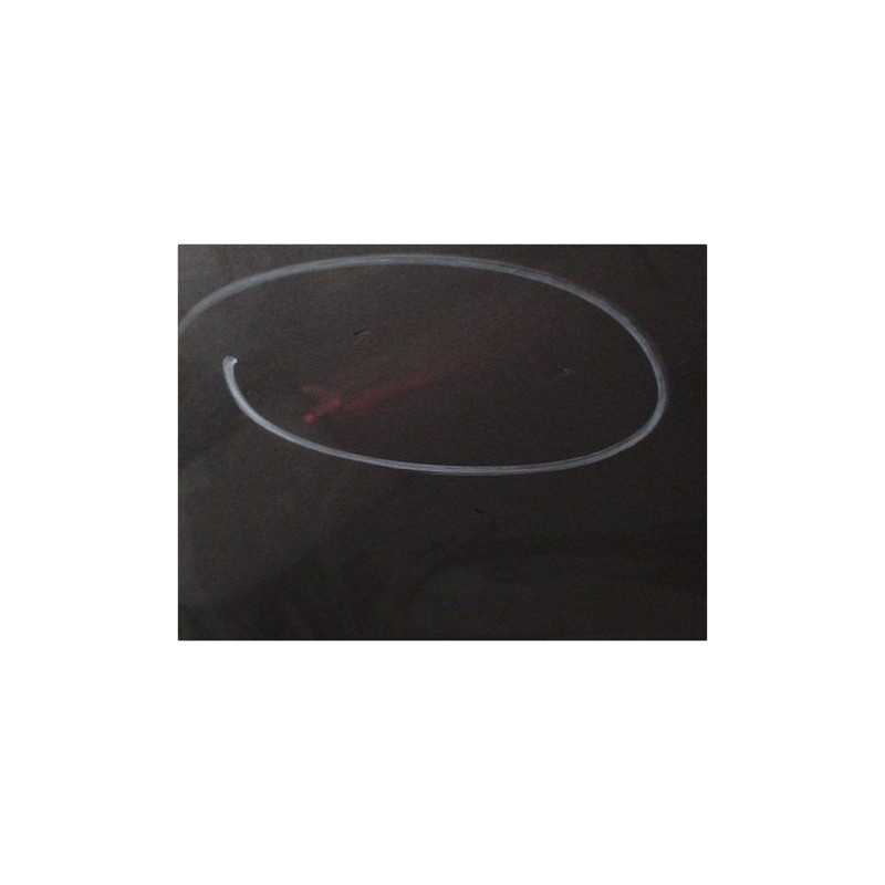 PORTE AVANT GAUCHE HYUNDAI SANTA FE 00-06