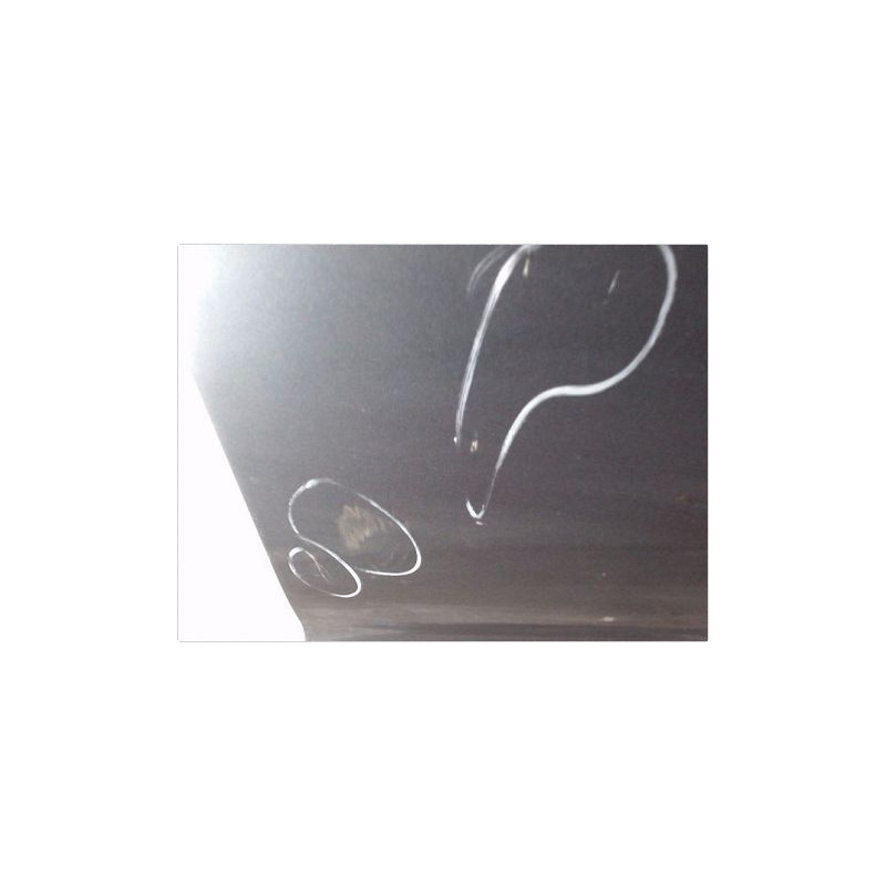 PORTE AVANT DROIT AUDI A6