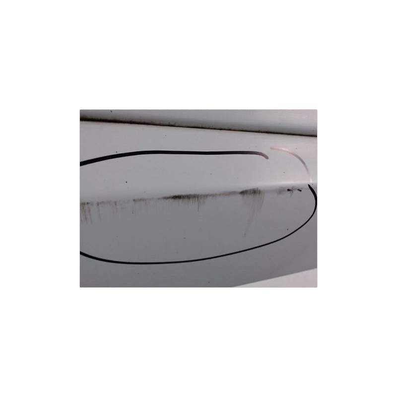 PORTE ARRIERE GAUCHE RENAULT FLUENCE