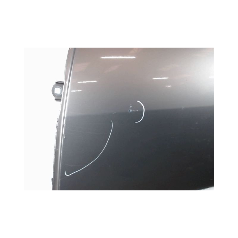 PORTE ARRIERE GAUCHE RENAULT SCENIC II PH2 2006-