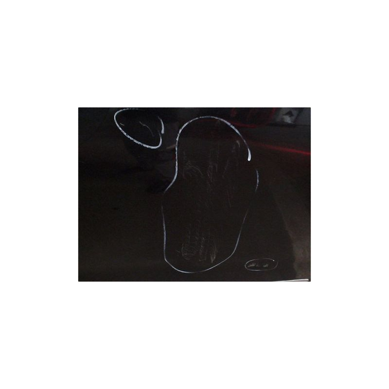 PORTE ARRIERE GAUCHE CITROEN C5