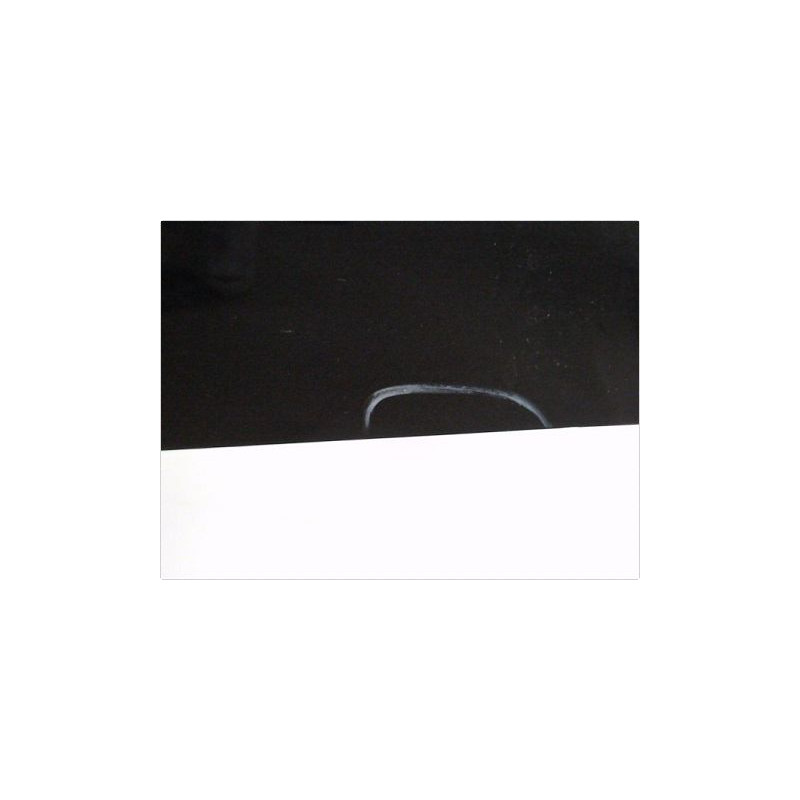 PORTE AVANT DROIT RENAULT TWINGO