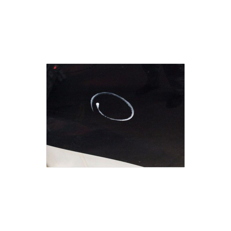PORTE ARRIERE DROIT FIAT PUNTO EVO III 09-13
