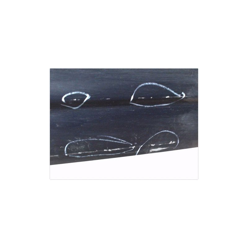 PORTE ARRIERE GAUCHE CITROEN C4