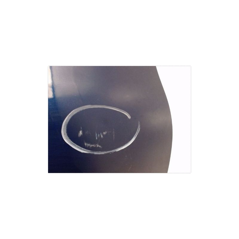 PORTE AVANT DROIT RENAULT CLIO