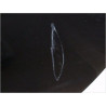 PORTE ARRIERE GAUCHE RENAULT FLUENCE