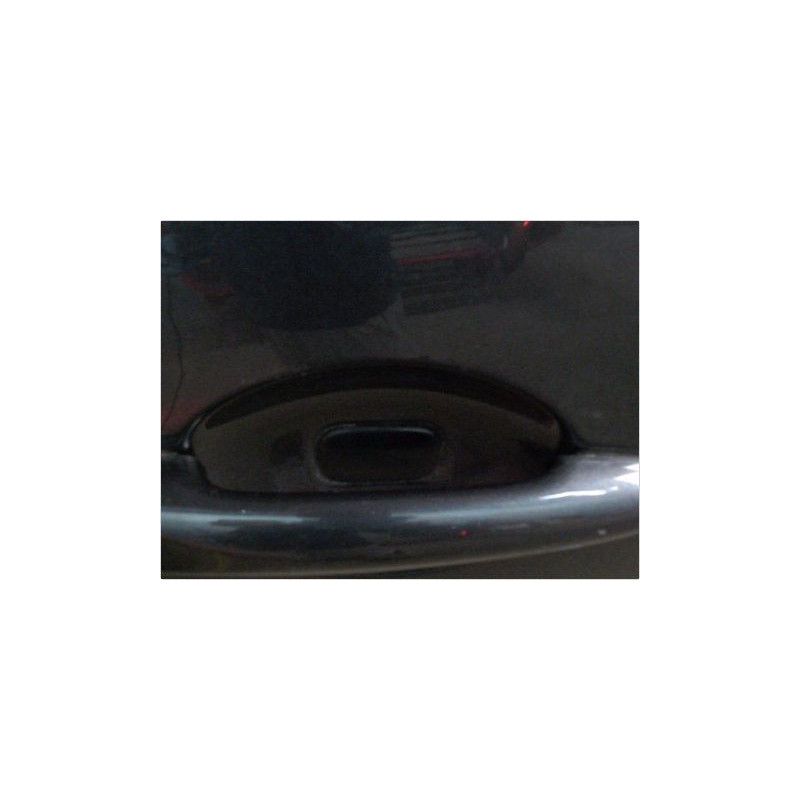 PORTE ARRIERE DROIT RENAULT FLUENCE
