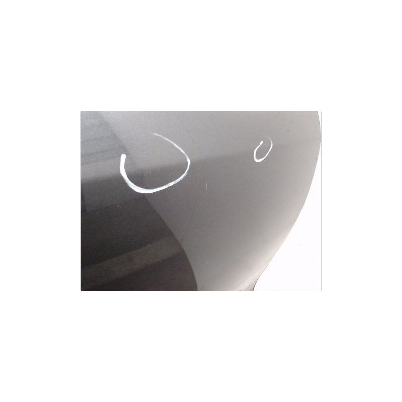 PORTE ARRIERE DROIT RENAULT FLUENCE