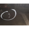 PORTE ARRIERE GAUCHE FORD FOCUS