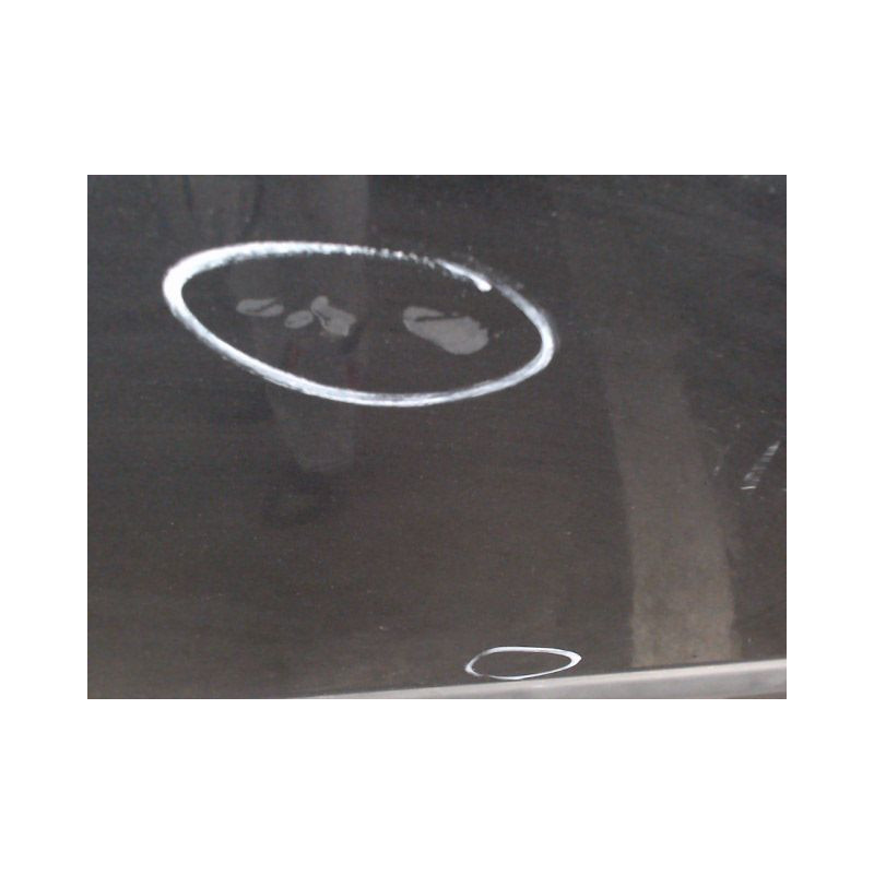 PORTE ARRIERE DROIT RENAULT LAGUNA