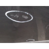 PORTE ARRIERE DROIT RENAULT LAGUNA