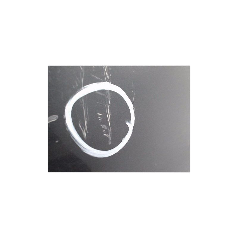 PORTE ARRIERE GAUCHE CITROEN C5