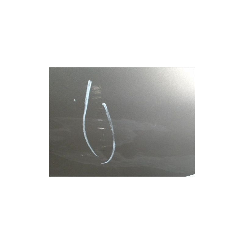 PORTE ARRIERE GAUCHE RENAULT MEGANE