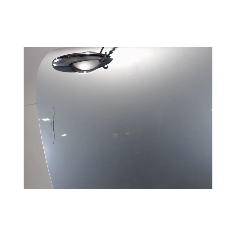 PORTE AVANT GAUCHE MINI MINI 2004-2006