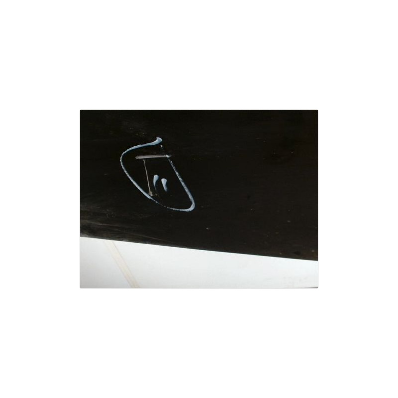 PORTE AVANT GAUCHE VOLKSWAGEN NEWBEETLE