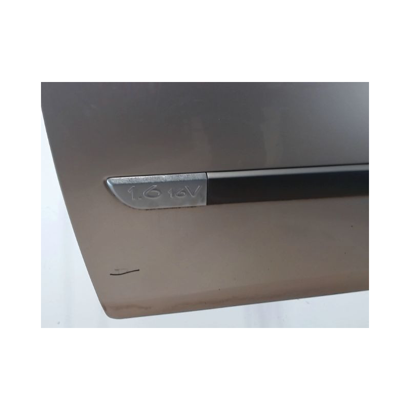 PORTE AVANT GAUCHE RENAULT SCENIC II PH1 02-06