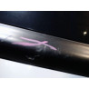 PORTE ARRIERE GAUCHE CITROEN C6