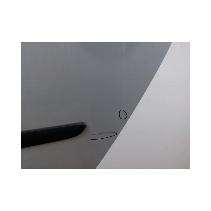 PORTE ARRIERE GAUCHE RENAULT MODUS LONGUE 2008-
