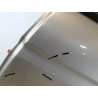 PORTE ARRIERE GAUCHE JAGUAR X-TYPE PHASE 1 2.2D - 16V TURB