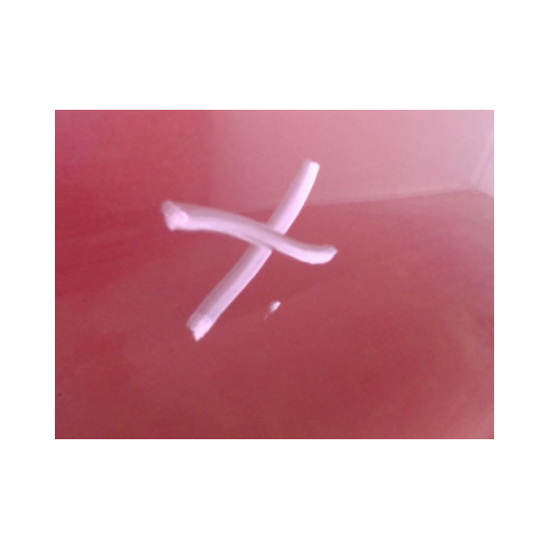 PORTE AVANT DROIT CITROEN C4 04-08