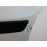 PORTE COULISSANTE GAUCHE FIAT FIORINO